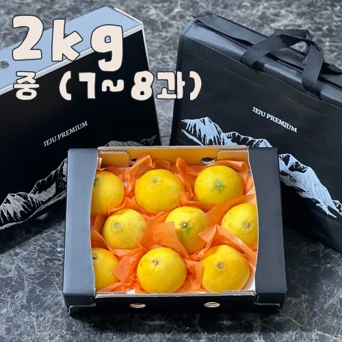 제주 프리미엄 황금향 선물세트 2kg 중 (7-8과)