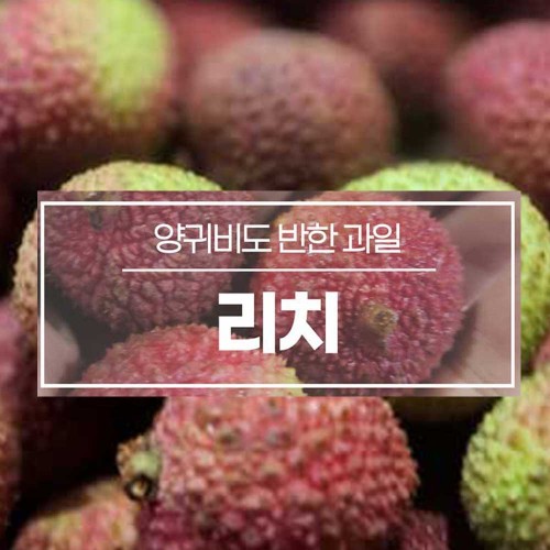 [수입과일] 전설의 과일 생리치 2kg