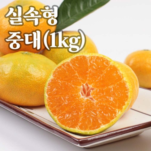 햇땅 제주 하우스감귤 실속형 1kg 중대 7-9과