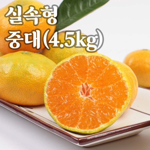 햇땅 제주 하우스감귤 실속형 4.5kg 중대 34-42과