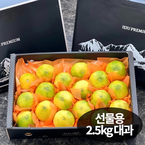 햇땅 황금향 선물용 2.5KG 대과(06-10과 내외)