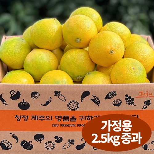 햇땅 황금향 가정용 2.5KG 중과(10-12과 내외)