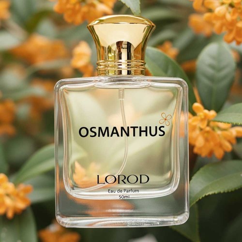 로로드 금목서향수 50ml